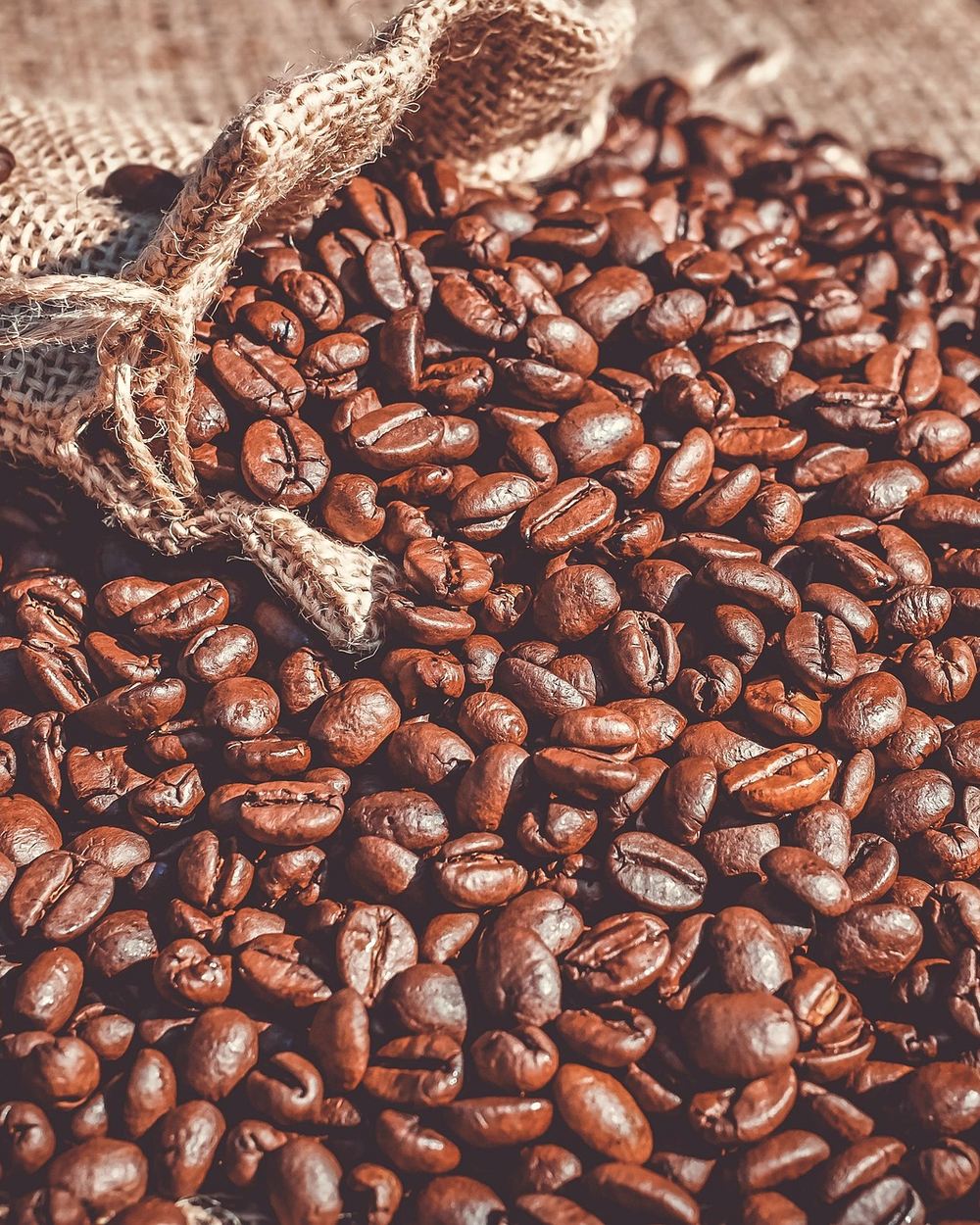 EARTH — Fine Robusta · Đắk Lắk