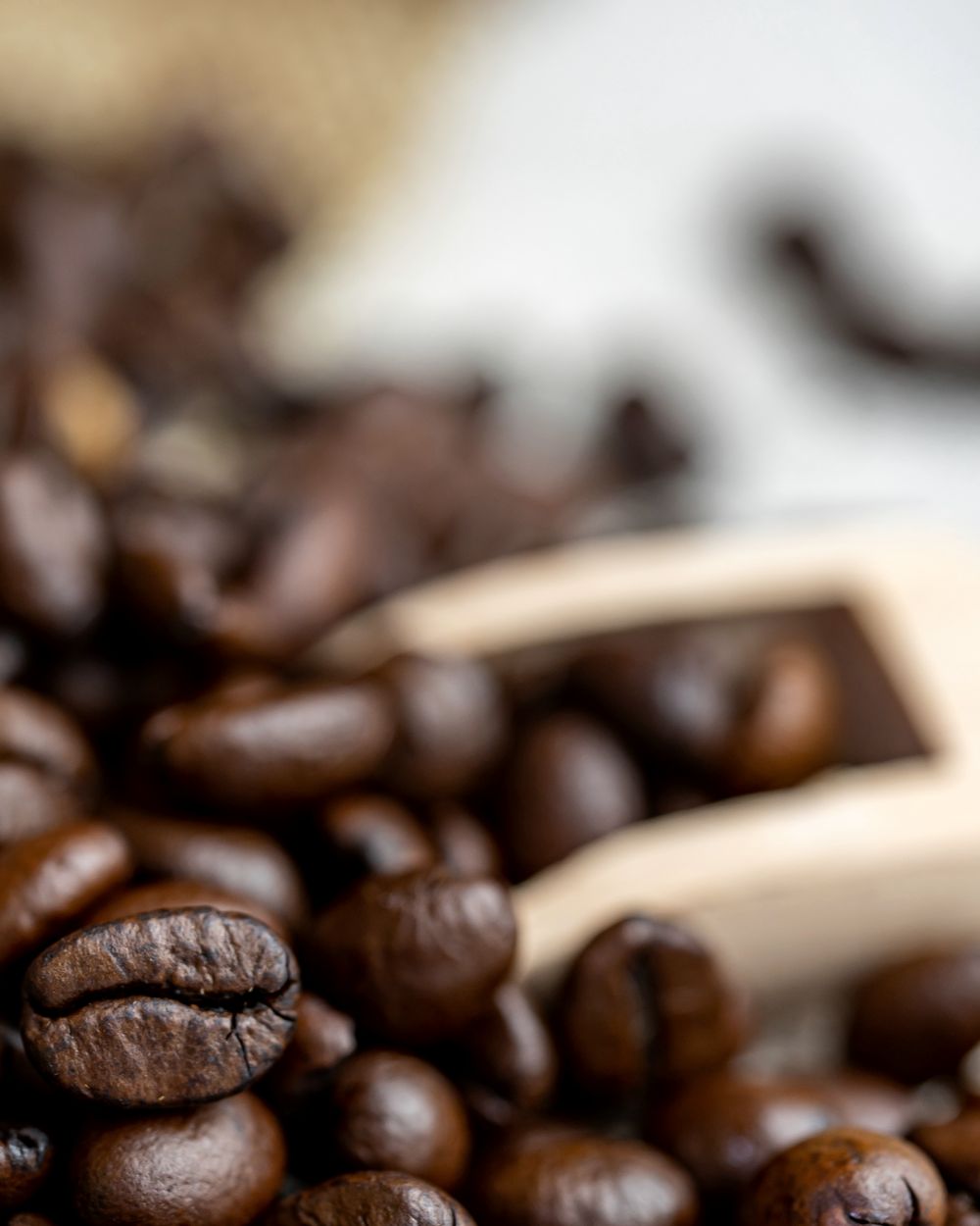 SKY — Arabica · Lâm Đồng