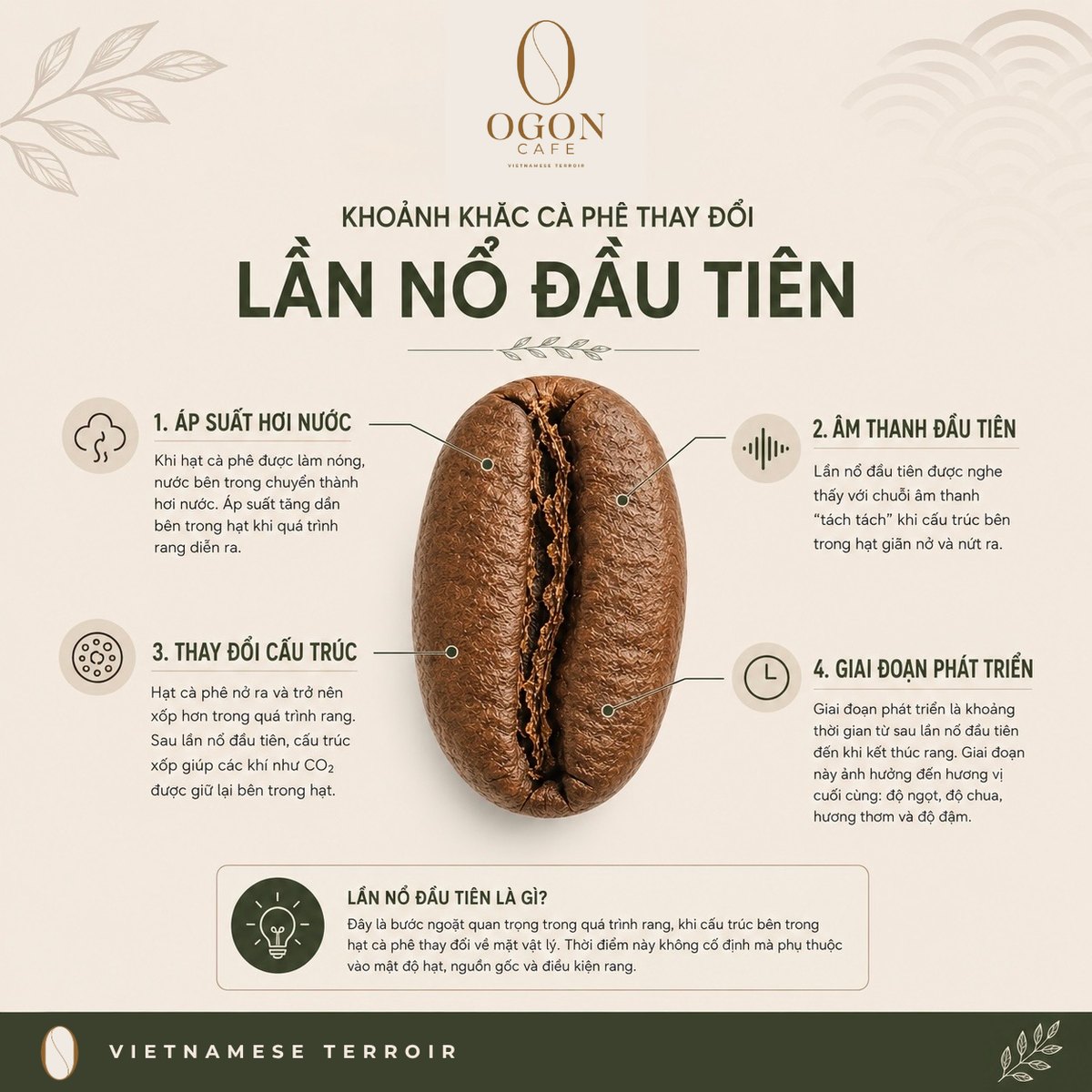 Sơ đồ giải thích lần nổ đầu tiên trong quá trình rang cà phê