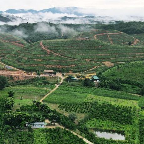 Từ vùng đất tới hạt rang