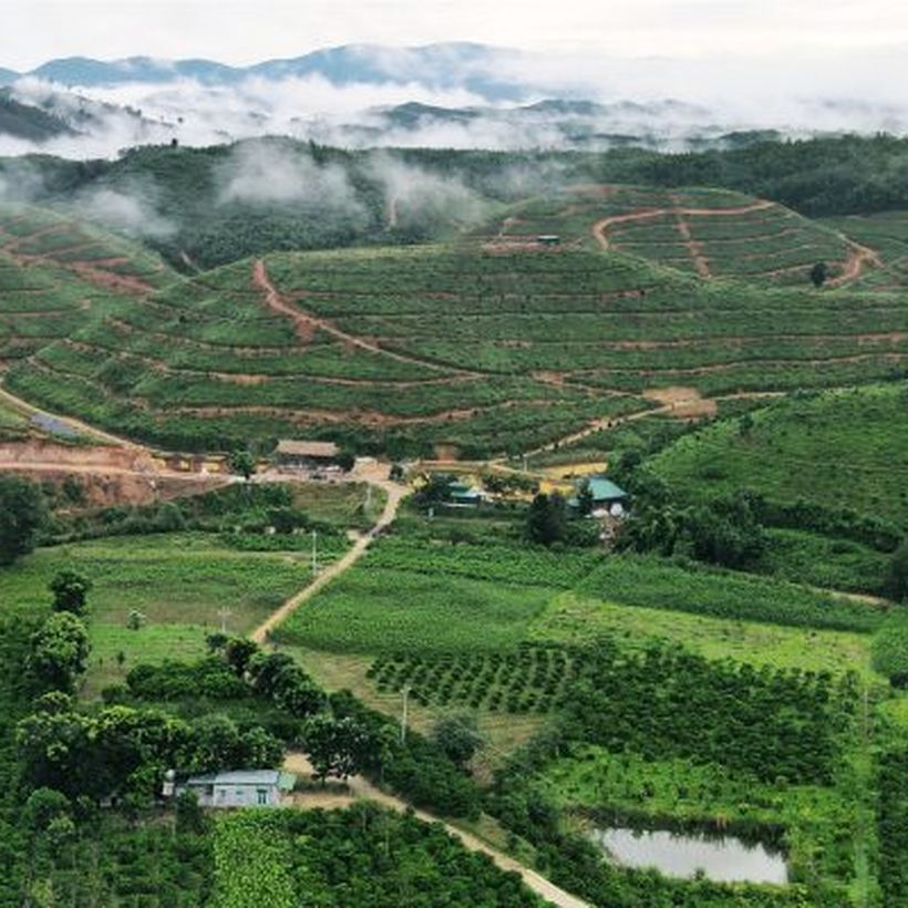 Cao nguyên Lâm Đồng nhìn từ trên cao, sương phủ